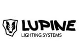 lupine