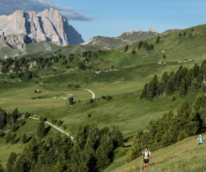 trailrunning-event-2022