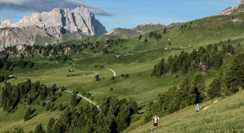 trailrunning-event-2022